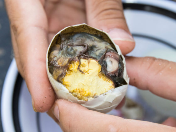 Balut - frissen főtt kacsaembrió saját tojásában
