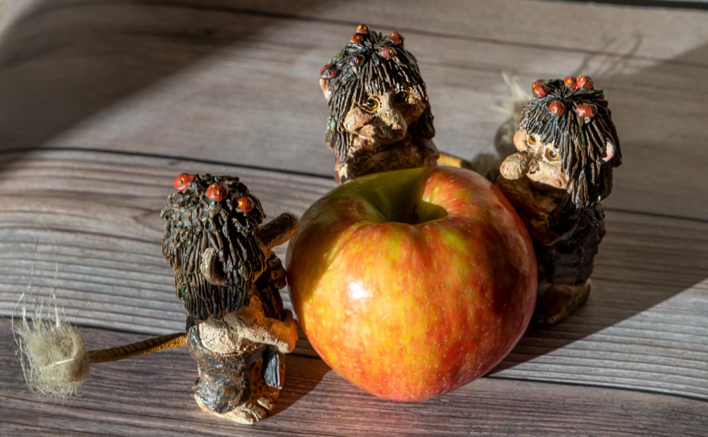 az izlandi gasztronómia régi csemegéje a nehezen beszerezhető alma