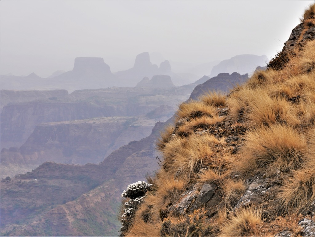 Simien Nemzeti Park - Etiópia