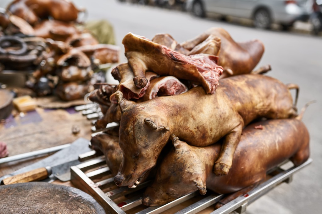 kutyahús evése a nagyvilágban - Vietnám