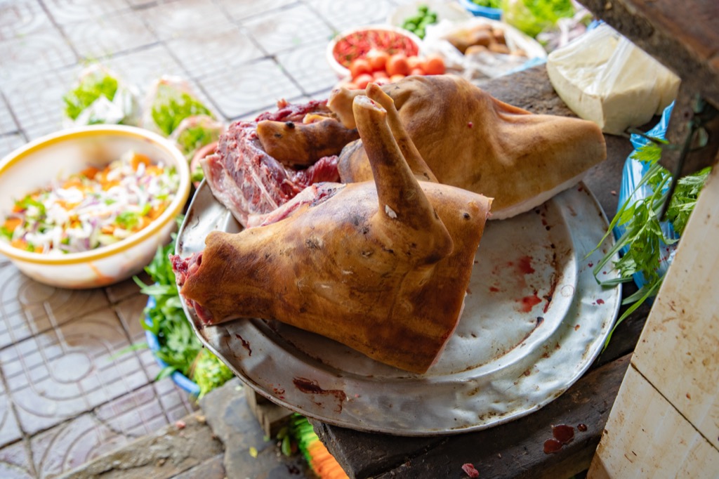 kutyahús evése a nagyvilágban - Vietnámban téli étel a kutya
