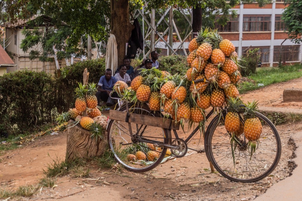 Uganda és a szervezés