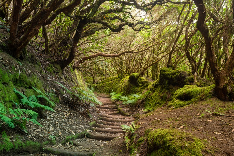 anaga tenerife túraútvonalai túrázás camino de las vueltas