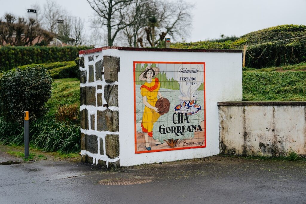 A Chá Gorreana teafarm