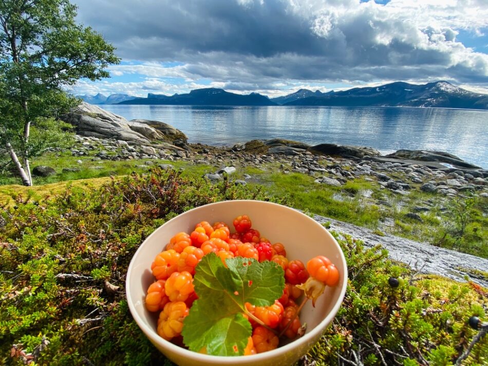 Cloudberry