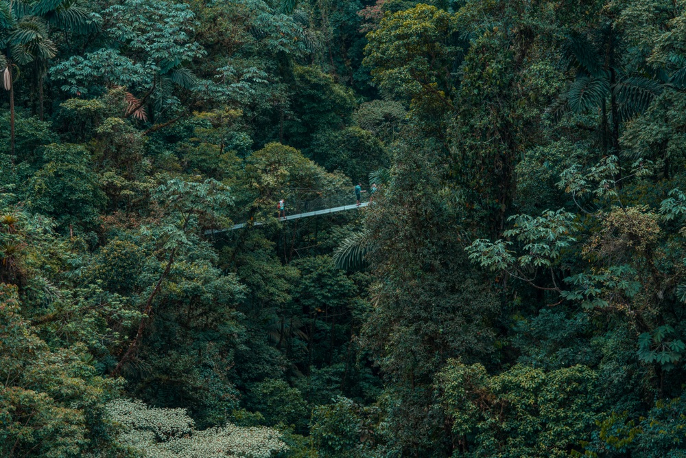 Costa Rica függőhídjai a Mistico Arenal Hanging Bridgs Parkban