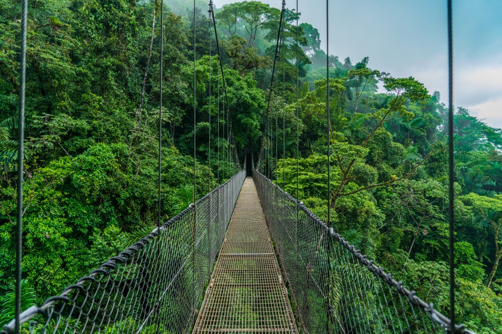 Costa Rica egy függőhídja a Sky Adventure Parkban
