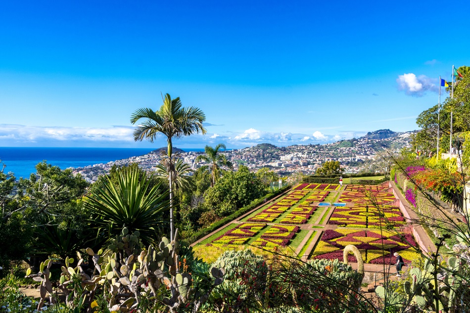 madeira botanikus kert
