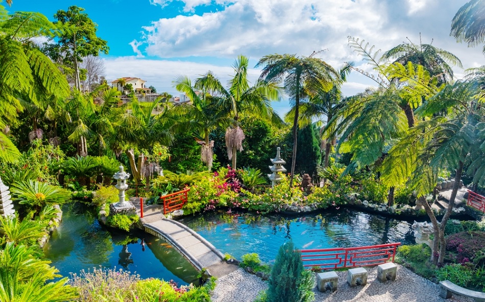 funchal látnivalói madeira monte tropical garden