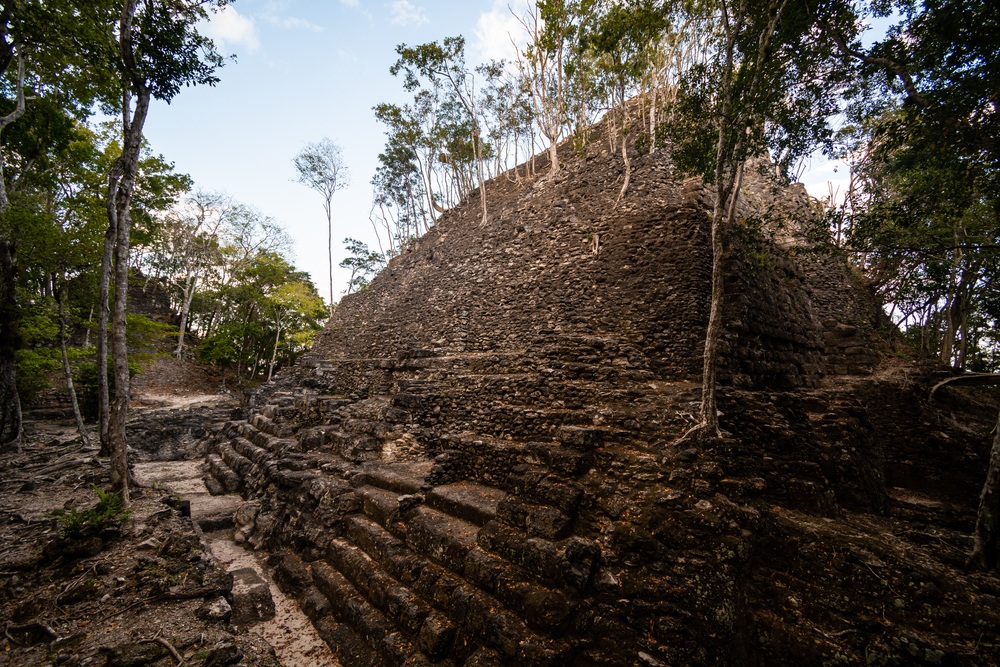 La Danta ősi maja piramis romjai a guatemalai dzsungel mélyén, fákkal benőve