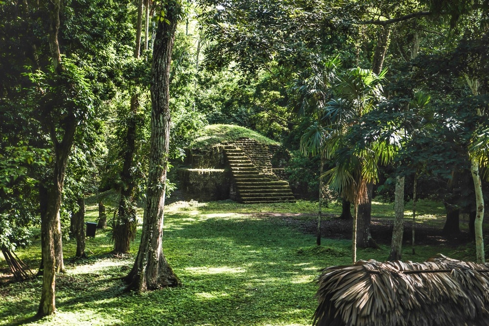 Tikal Nemzeti Park dzsungele