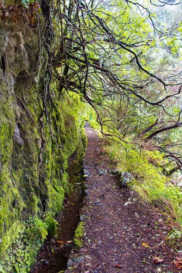 madeira vízesés caldeiro verde levada