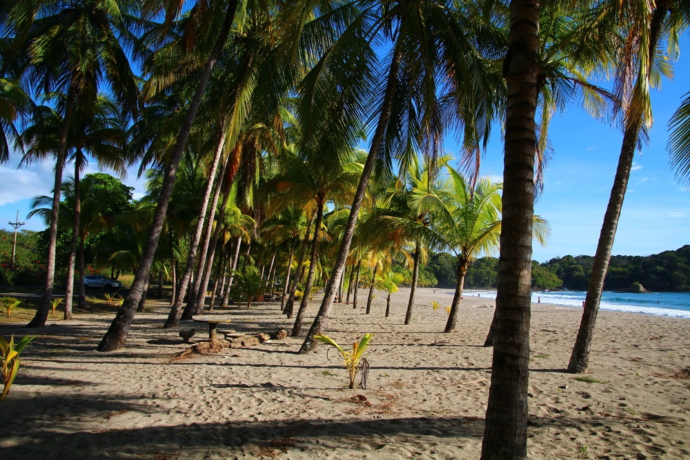Playa Carrillo Costa Ricán