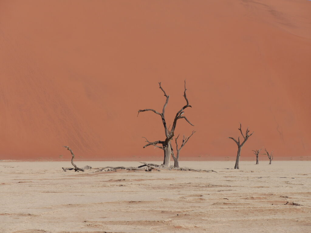 Deadvlei, az egykori ártér