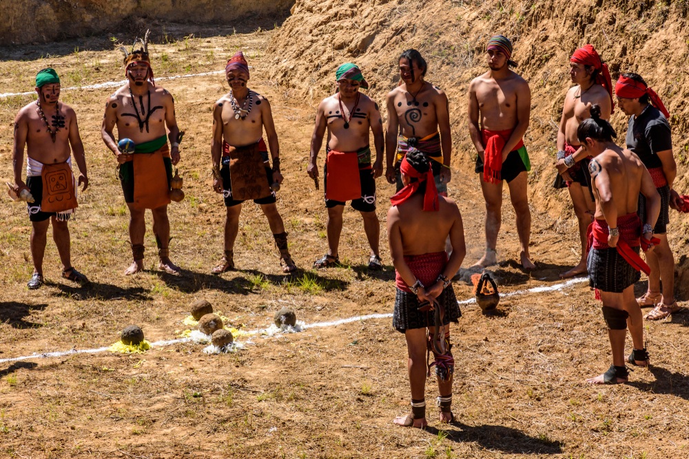 Guatemalai gumilabda