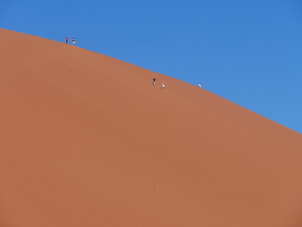 A hosszú, kimerítő dűne mászás jutalma: downhill