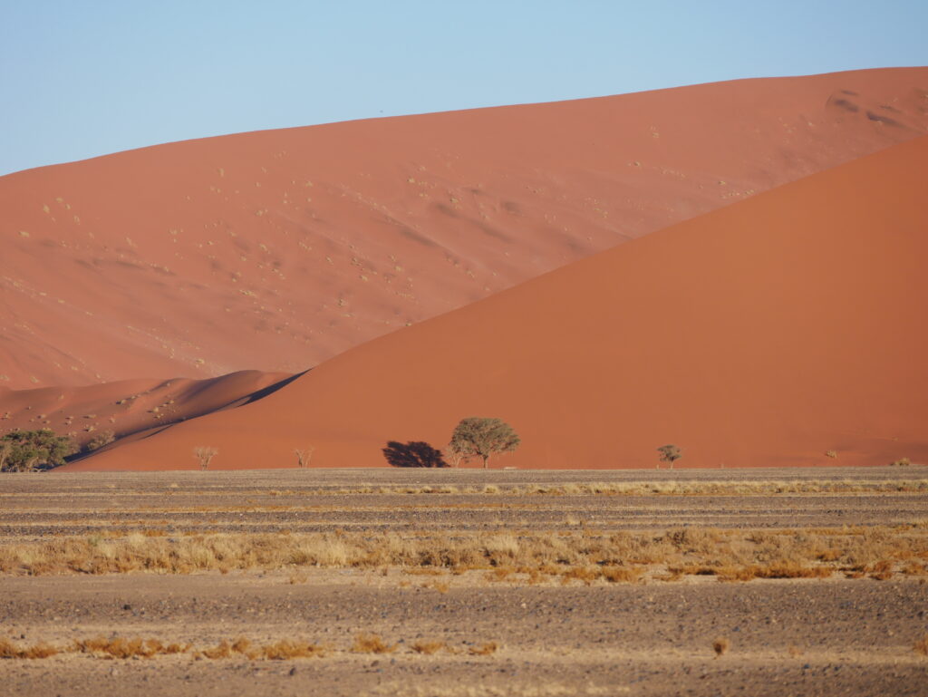 Sossusvlei dűnéi az útról