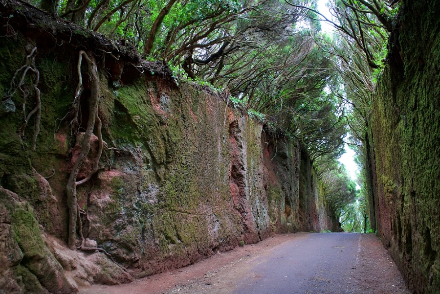 tenerife kilátó kanári-szigetek mirador pico del ingles